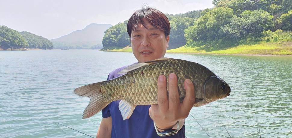 신매낚시터 6월 13일조황 (조황조행기 - 충주호조황속보)