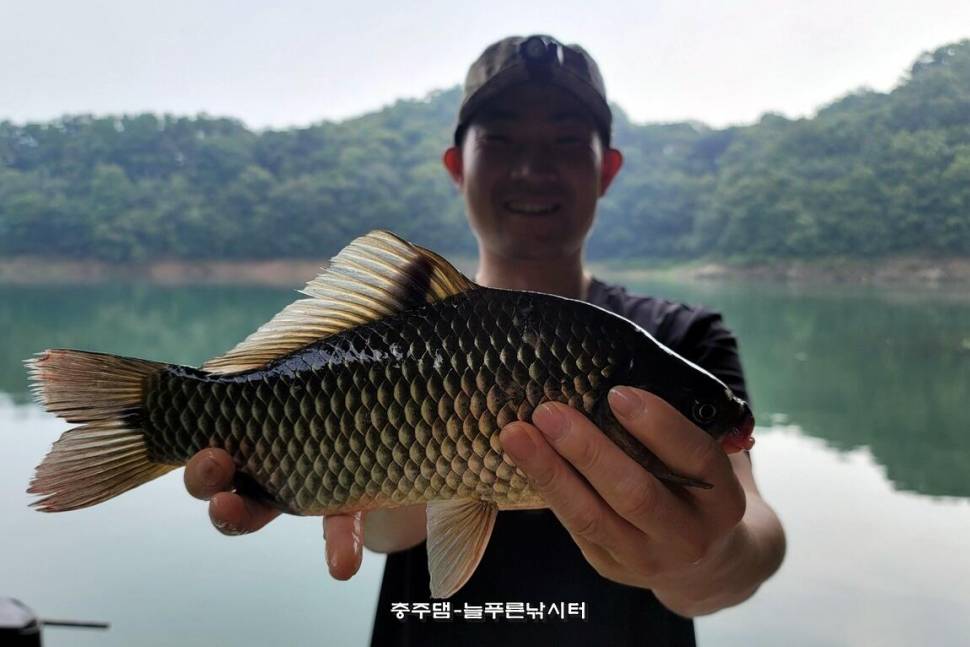 늘푸른 주말 조황입니다 (조황조행기 - 충주호조황속보)