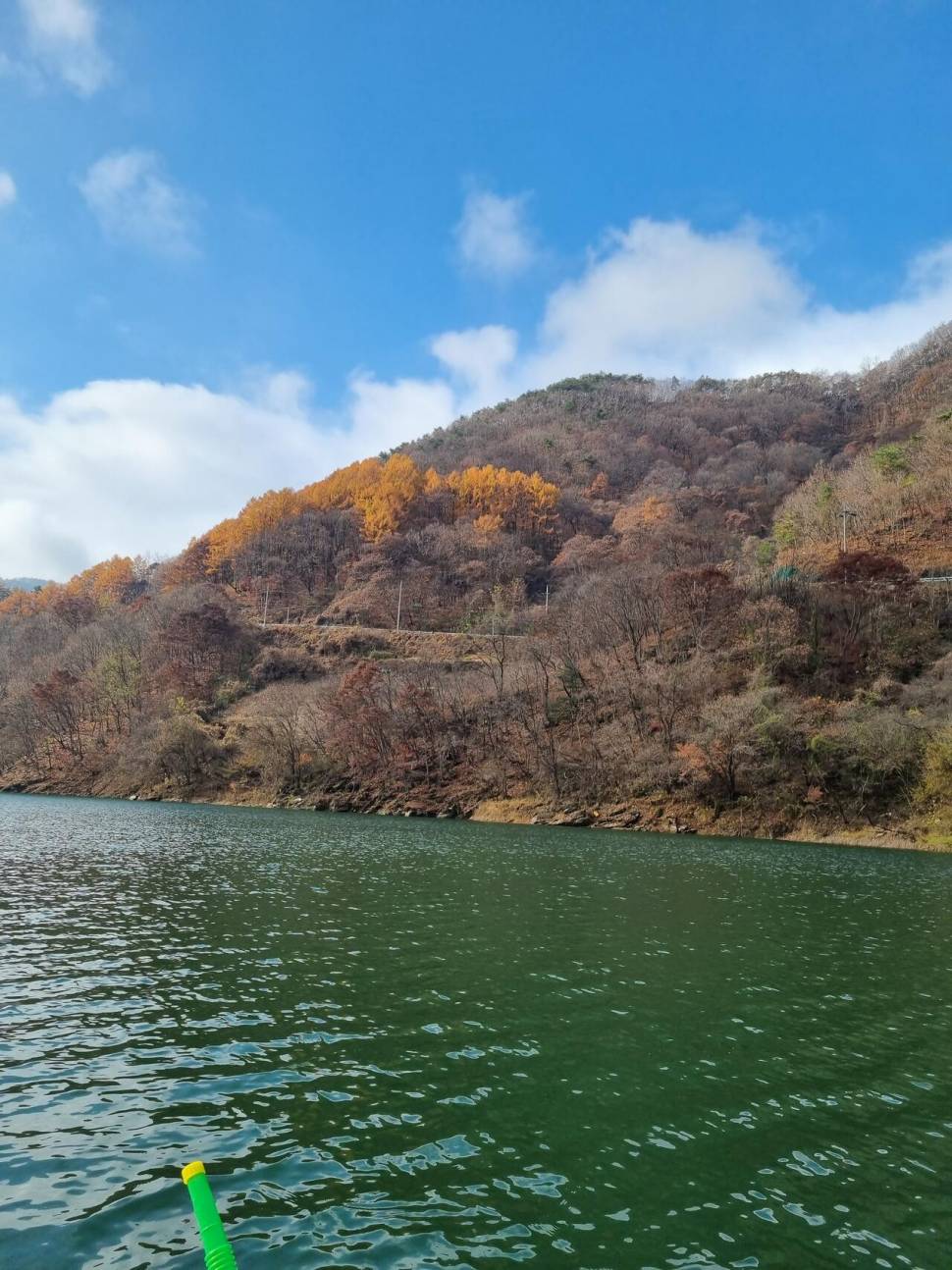 사오리 낚시터 조황정보 (조황조행기 - 충주호조황속보)