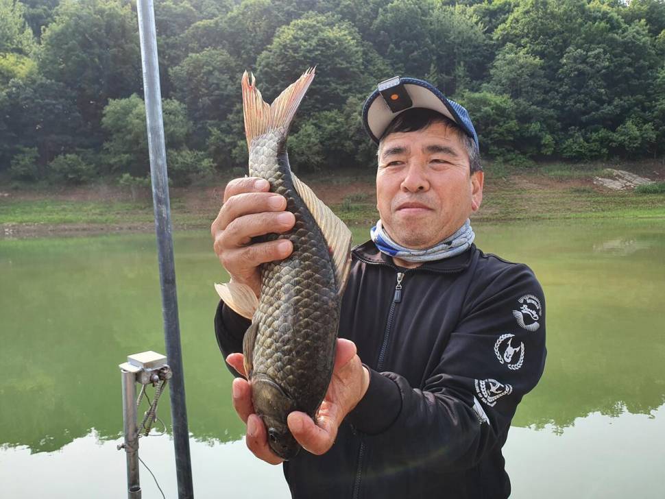 청풍신리낚시터 43cm4짜 4수 조황입니다 (조황조행기 - 충주호조황속보)