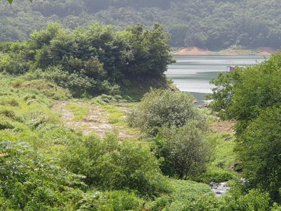 솔낚시터 입니다 (조황조행기 - 충주호조황속보)