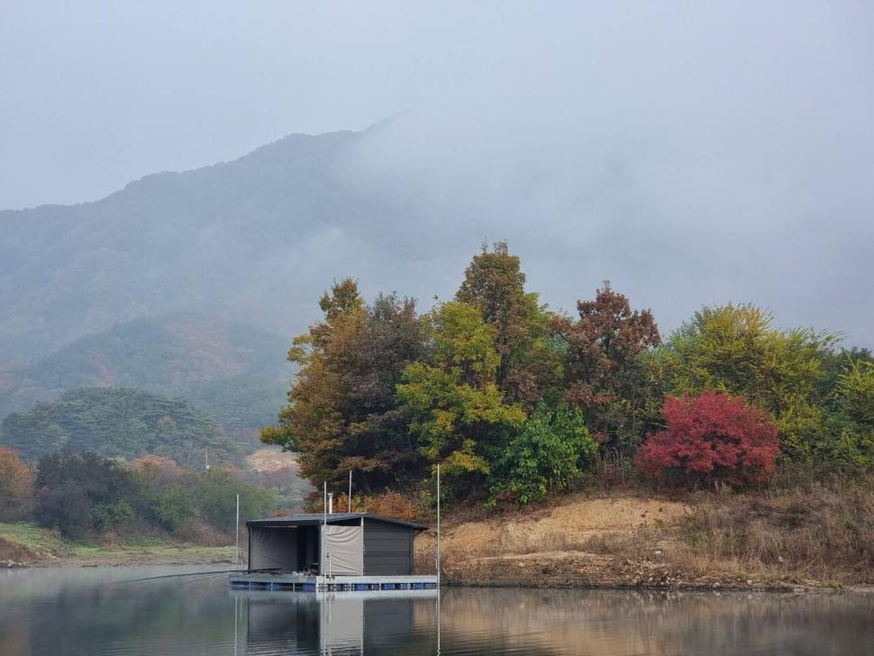 솔낚시터 조황소식입니다 (조황조행기 - 충주호조황속보)
