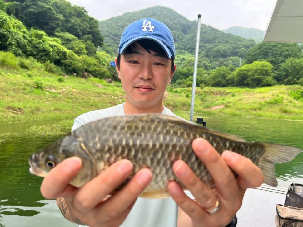 후산낚시터 조황 안내 입니다 (조황조행기 - 충주호조황속보)