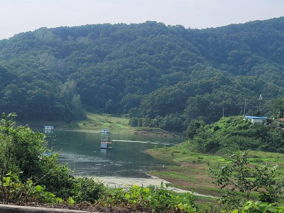 청풍 실리곡낚시터 허리급 조황입니다 (조황조행기 - 충주호조황속보)