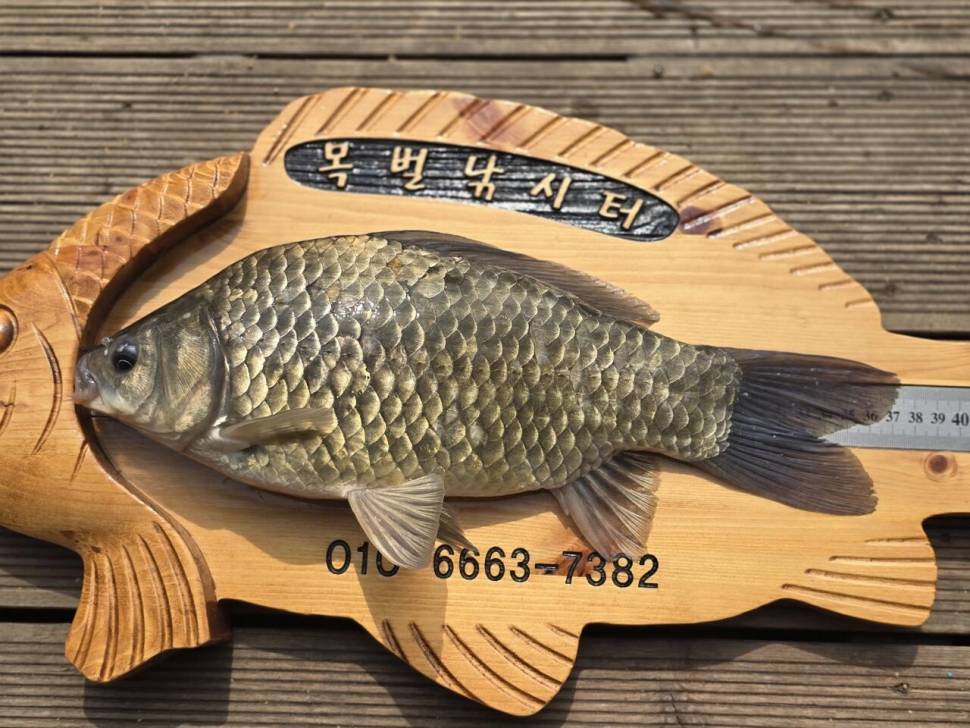 목벌 대물들의 놀이동산 (조황조행기 - 충주호조황속보)