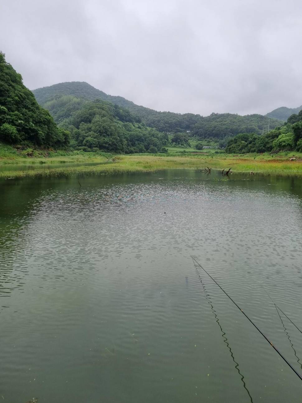 사오리 낚시터 조황정보 (조황조행기 - 충주호조황속보)