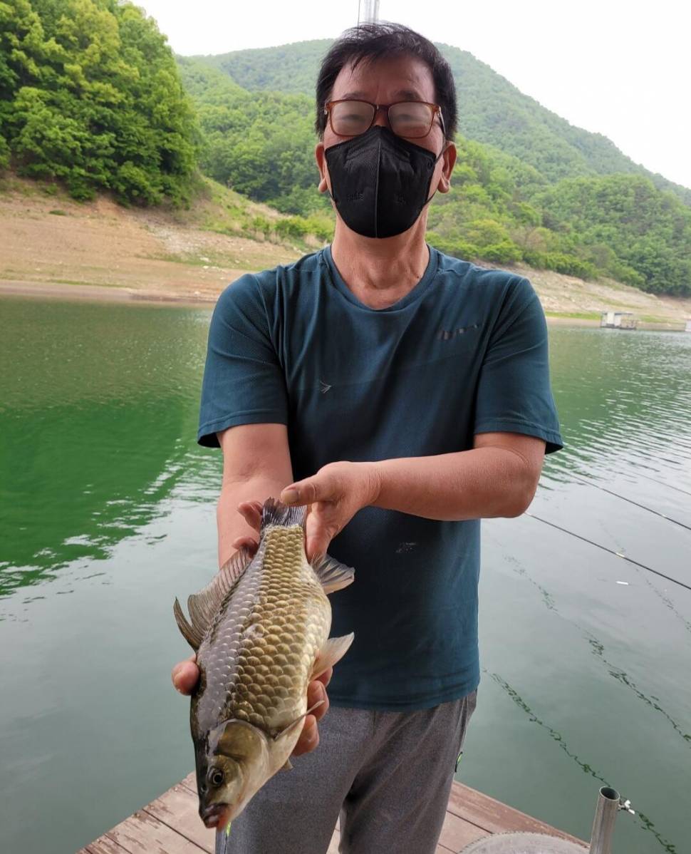 실리곡낚시터 42cm외 허리급 조황입니다 (조황조행기 - 충주호조황속보)