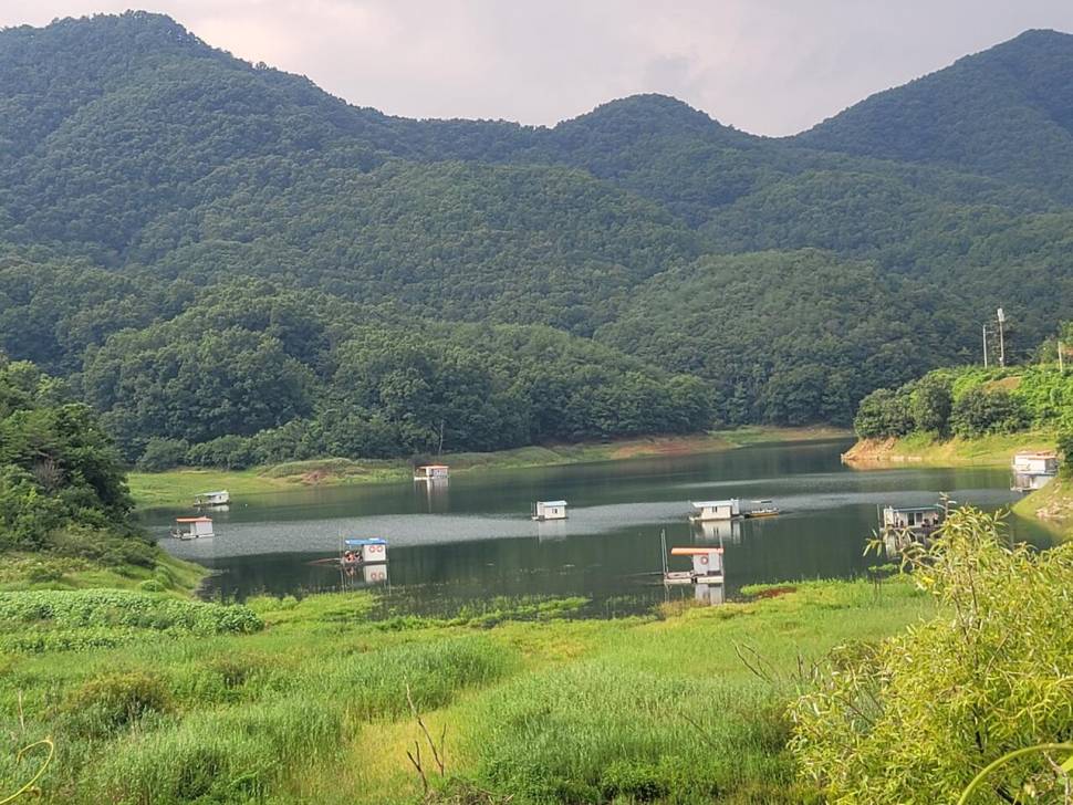 실리곡낚시터 4짜 조황입니다 (조황조행기 - 충주호조황속보)