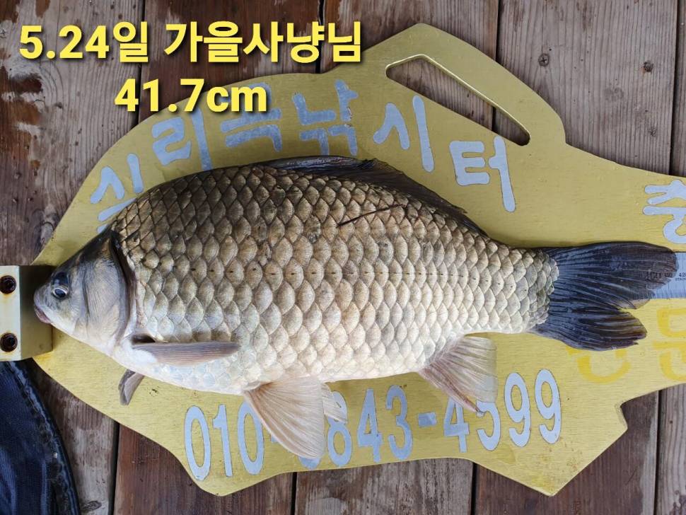 실리곡낚시터 44cm 대물 조황입니다 (조황조행기 - 충주호조황속보)