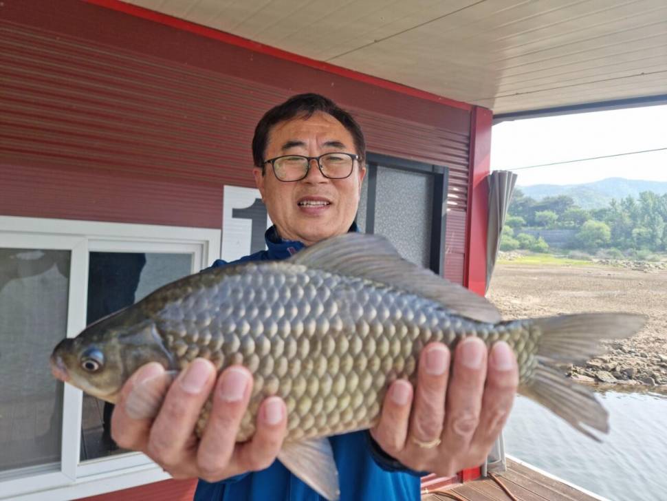 솔낚시터 조황 소식입니다 (조황조행기 - 충주호조황속보)