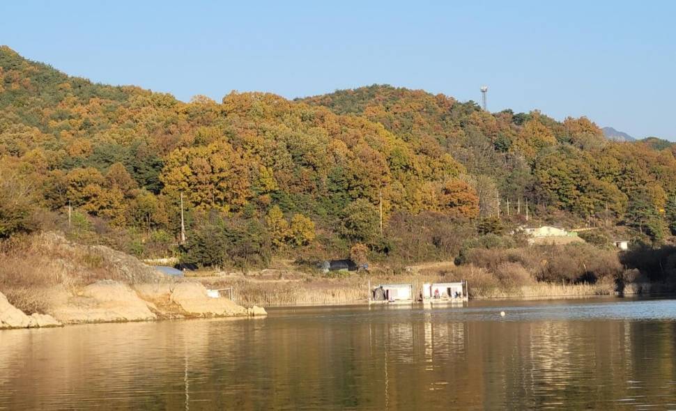 청풍신리낚시터 조황정보입니다 (조황조행기 - 충주호조황속보)