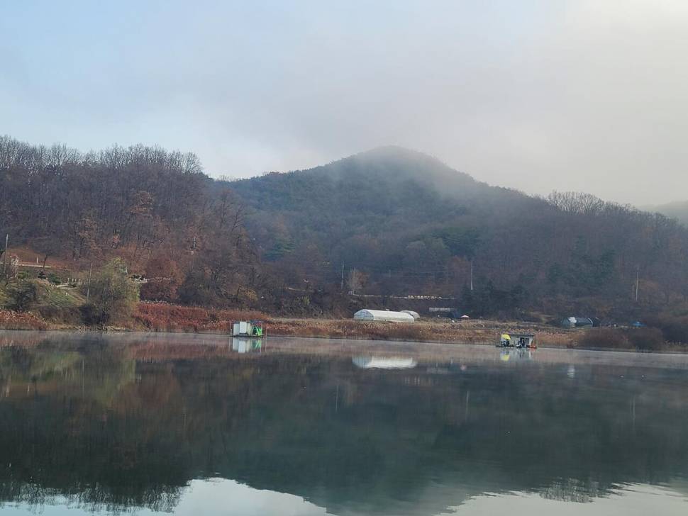 청풍신리낚시터 조황정보입니다 (조황조행기 - 충주호조황속보)