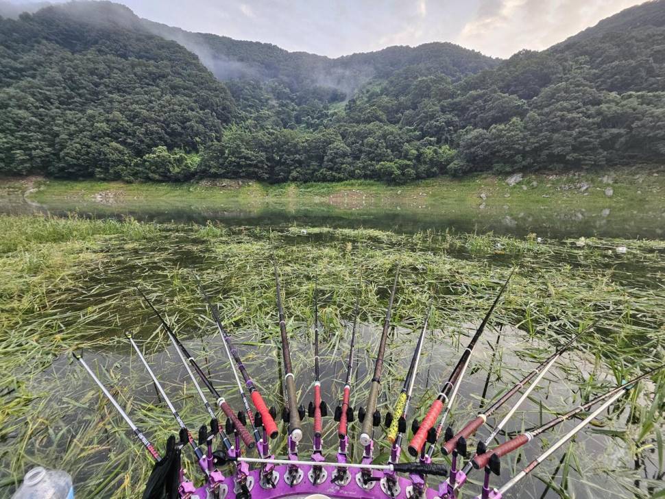 충주 명서낚시터 조황입니다 (조황조행기 - 충주호조황속보)