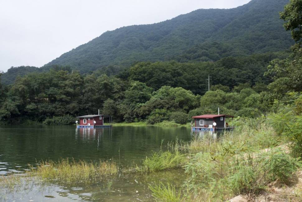 충주호 멋진 사짜 혹뿌리여라 (조황조행기 - 충주호조황속보)