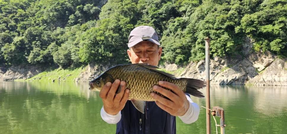 충주 명서낚시터 조황입니다 (조황조행기 - 충주호조황속보)