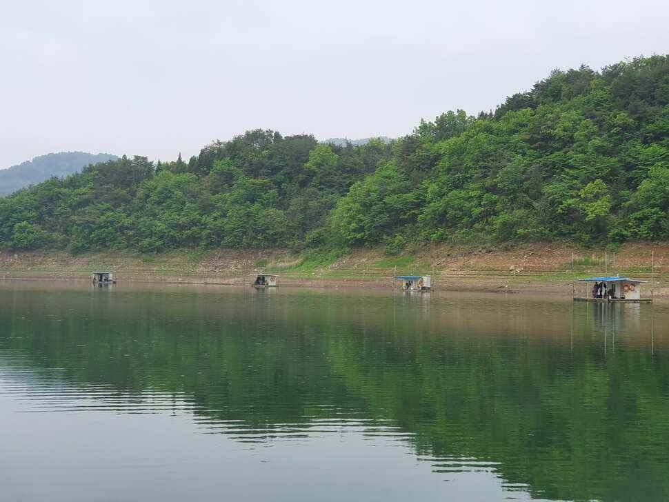 실리곡낚시터 414짜 조황입니다 (조황조행기 - 충주호조황속보)