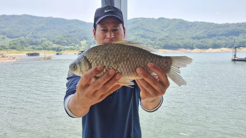 솔낚시터 조황 소식입니다 (조황조행기 - 충주호조황속보)