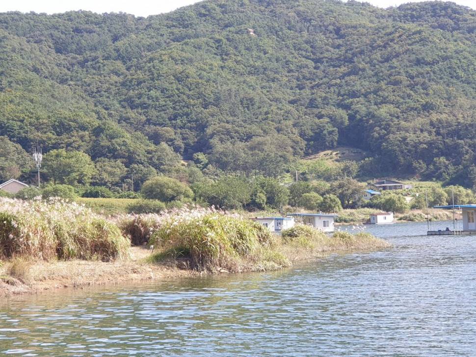 서운리 종점 낚시터입니다 (조황조행기 - 충주호조황속보)