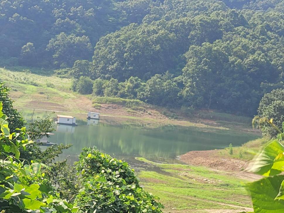 청풍 실리곡낚시터 허리급 조황입니다 (조황조행기 - 충주호조황속보)