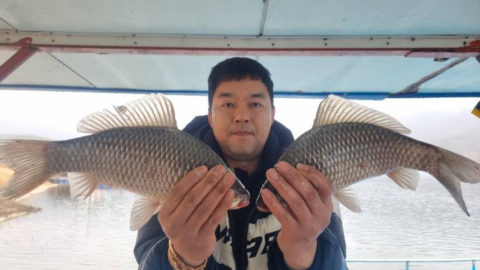 솔낚시터 지난 주말 조황소식입니다 늦늦 (조황조행기 - 충주호조황속보)