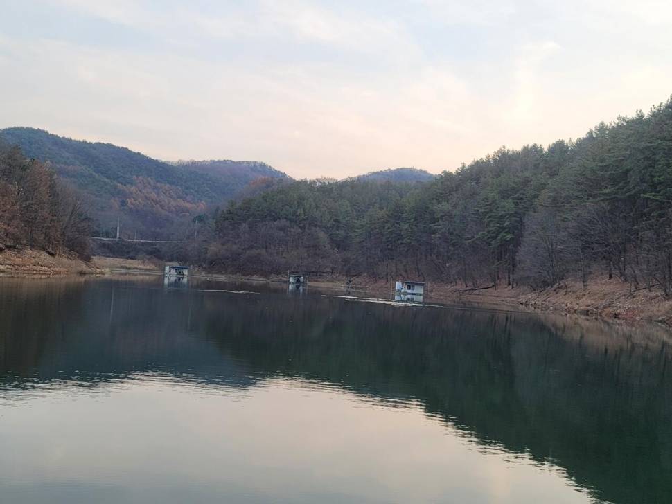 실리곡낚시터 허리급 조황입니다 (조황조행기 - 충주호조황속보)