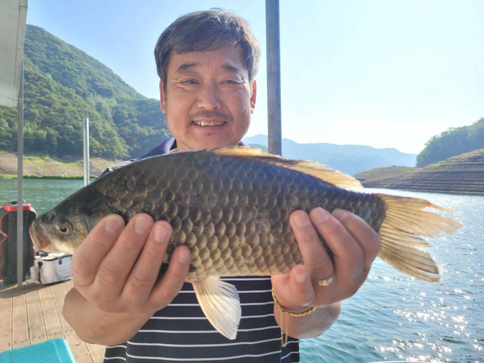 목벌주말조황소식입니다 (조황조행기 - 충주호조황속보)