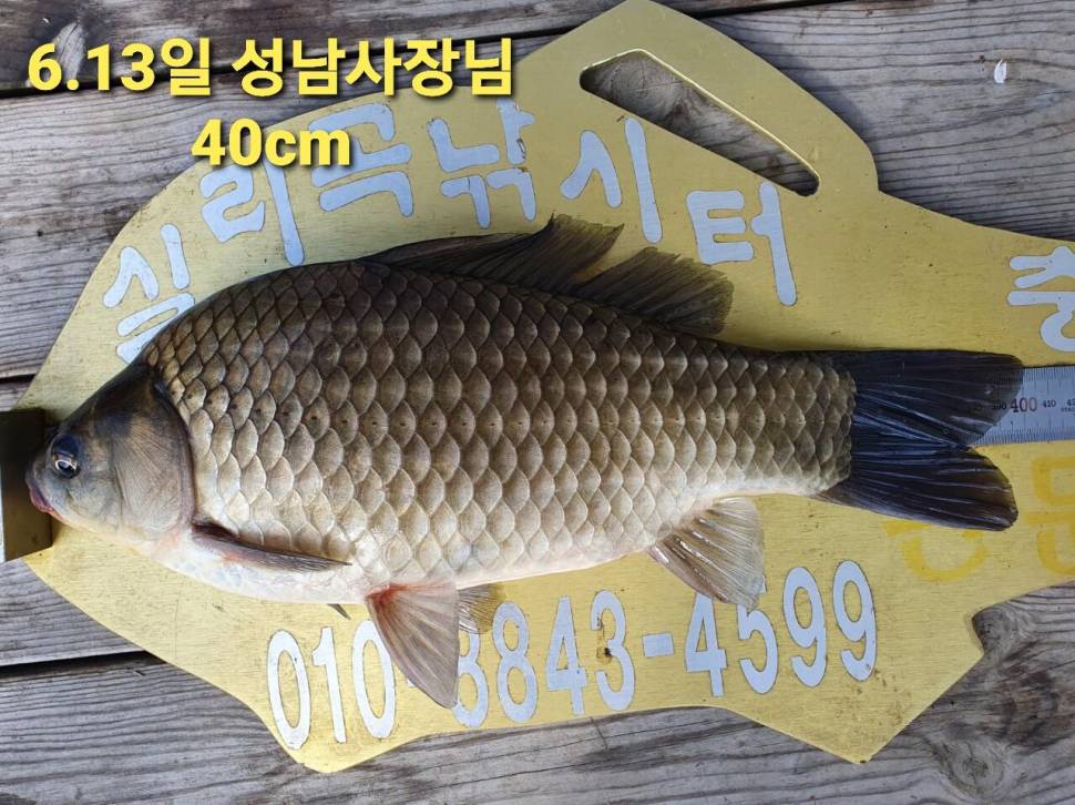실리곡낚시터 44cm 대물 조황입니다 (조황조행기 - 충주호조황속보)