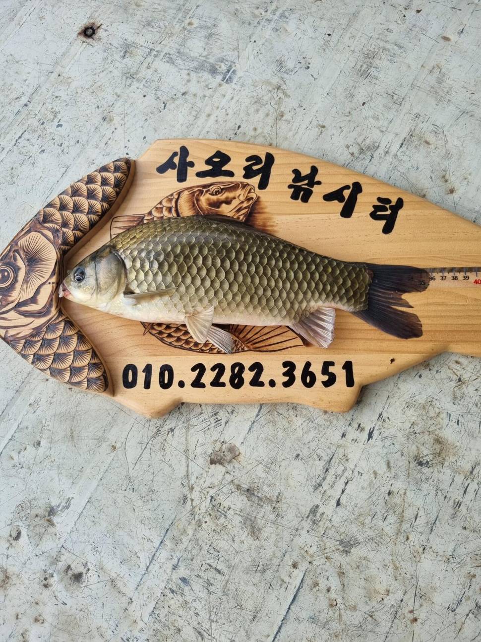 사오리 낚시터 조황정보 (조황조행기 - 충주호조황속보)