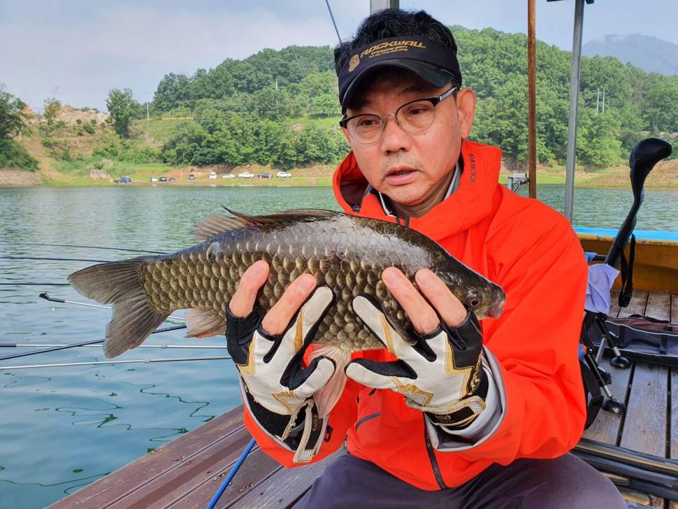 청풍신리낚시터 4짜외 허리급 조황입니다 (조황조행기 - 충주호조황속보)