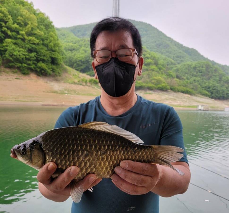 실리곡낚시터 42cm외 허리급 조황입니다 (조황조행기 - 충주호조황속보)