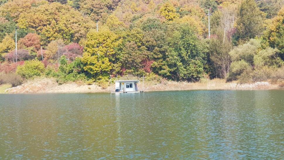 청풍호 한버들 조황입니다 (조황조행기 - 충주호조황속보)