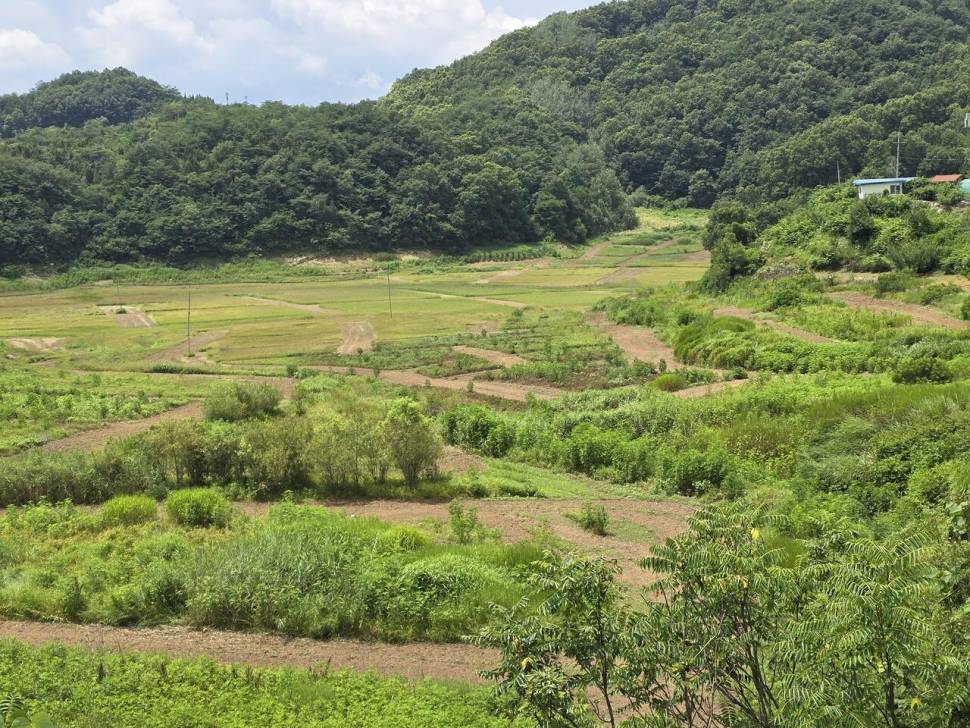 청풍 실리곡낚시터 조황입니다 (조황조행기 - 충주호조황속보)