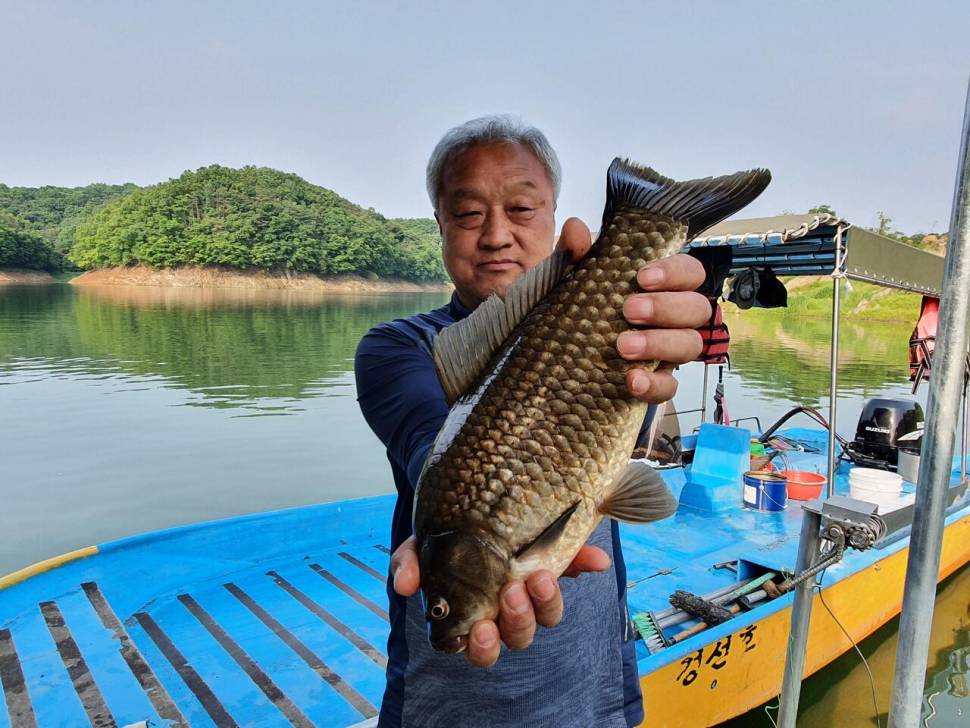 청풍신리낚시터 41cm4짜4짜 허리급 조황입니다 (조황조행기 - 충주호조황속보)
