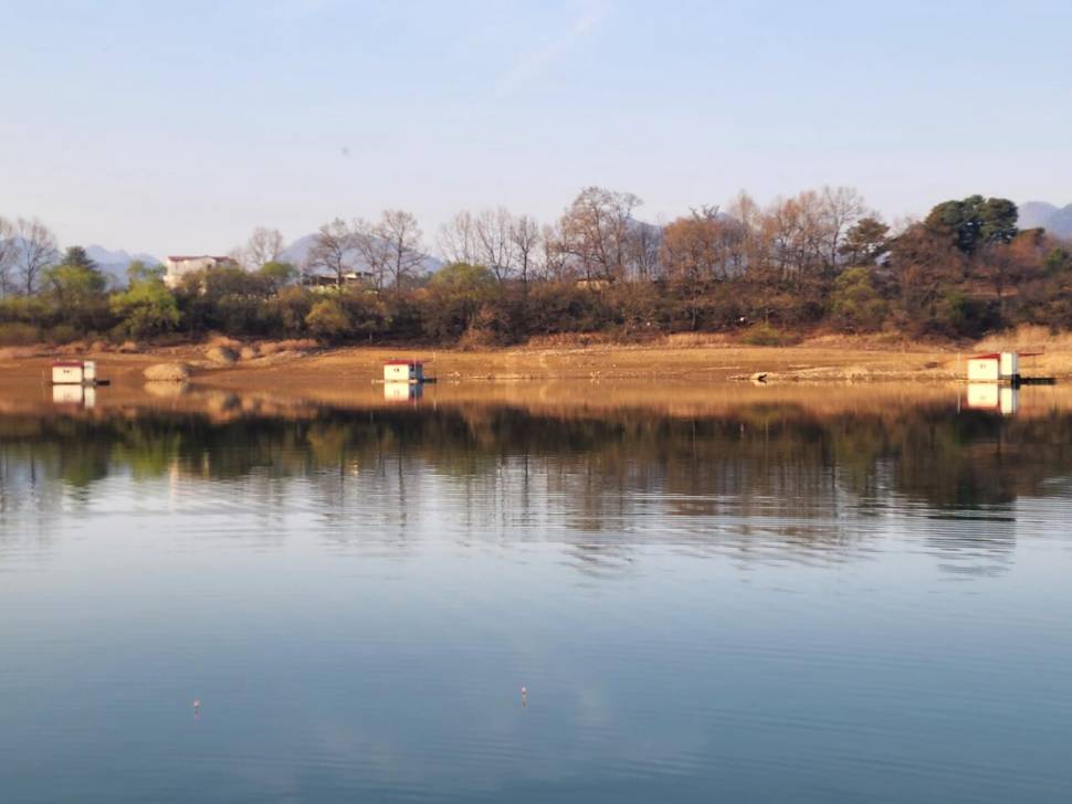 청풍 한버들 허릿급 조황입니다 (조황조행기 - 충주호조황속보)