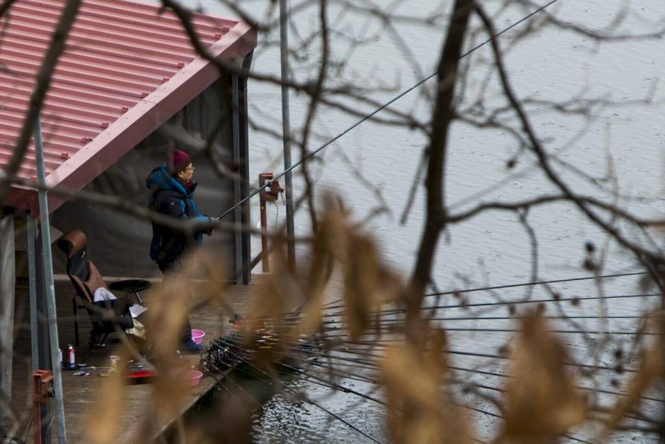 새해 복 많이 받으세요 솔낚시터입니다 (조황조행기 - 충주호조황속보)