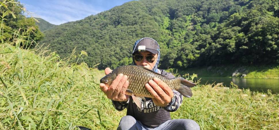 충주 명서낚시터 조황입니다 (조황조행기 - 충주호조황속보)