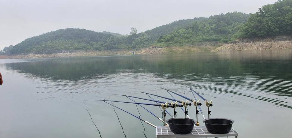 용곡 김기호 낚시터 조황입니다 (조황조행기 - 충주호조황속보)