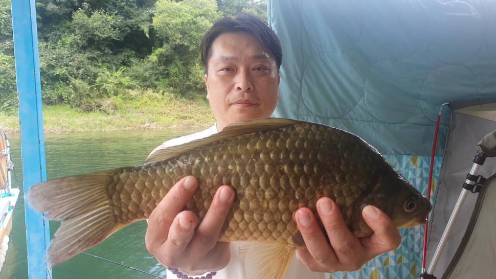 신매낚시터 7월 30일 조황 (조황조행기 - 충주호조황속보)