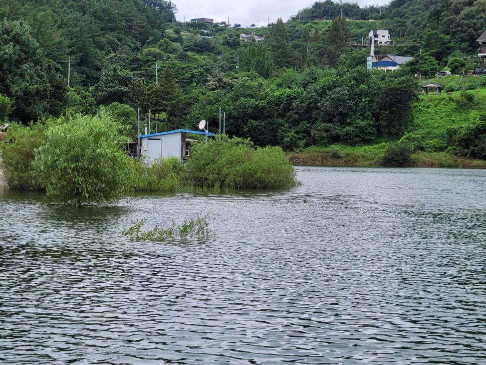 충주호목벌낚시터소식 (조황조행기 - 충주호조황속보)