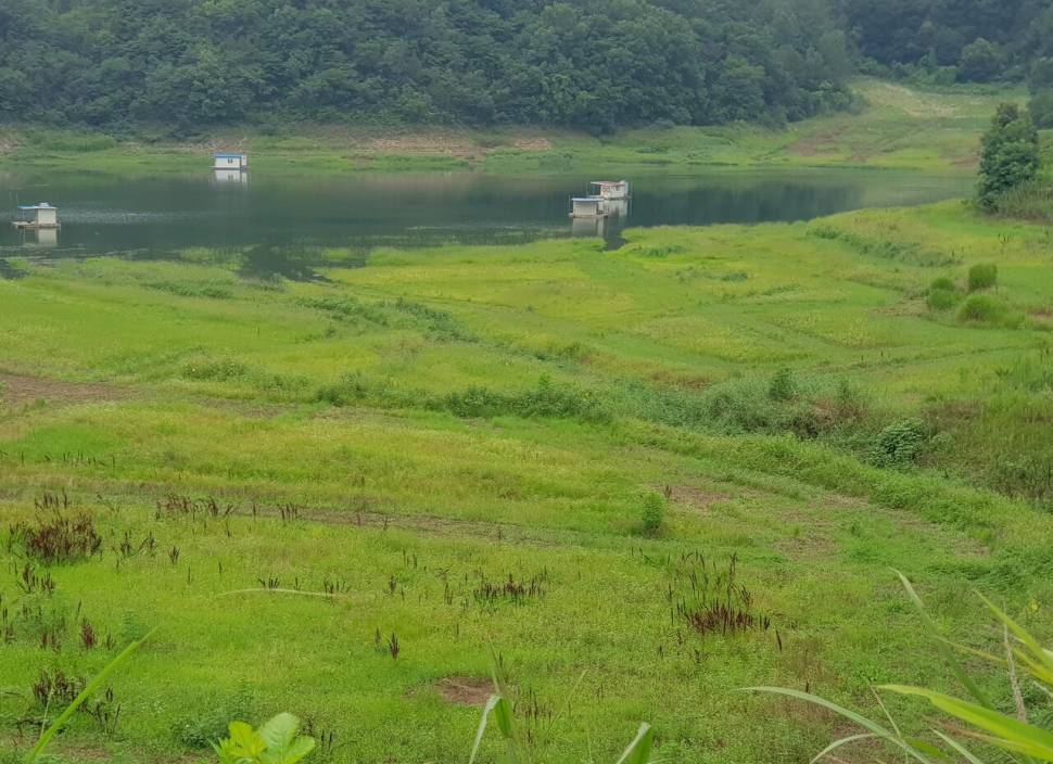 실리곡낚시터 조황입니다 (조황조행기 - 충주호조황속보)