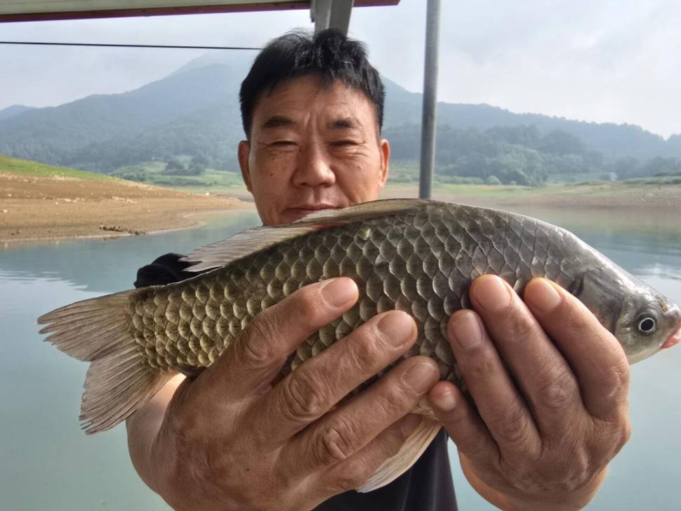 청풍 한버들 조황입니다 (조황조행기 - 충주호조황속보)
