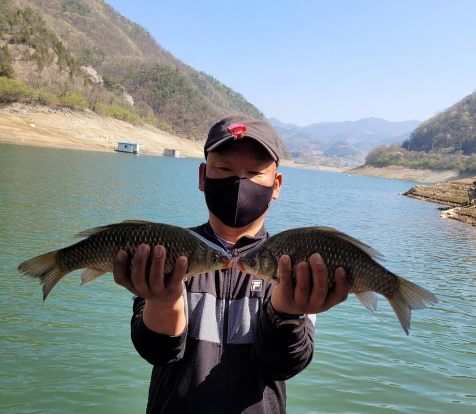 실리곡낚시터 허리급외 월척마릿수입니다 (조황조행기 - 충주호조황속보)