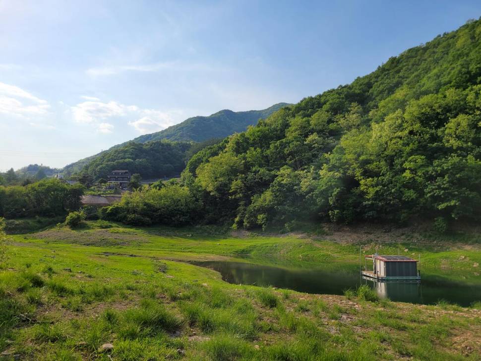 충주호목벌 조황 (조황조행기 - 충주호조황속보)