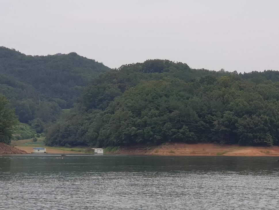 청풍신리낚시터 허리급조황입니다 (조황조행기 - 충주호조황속보)