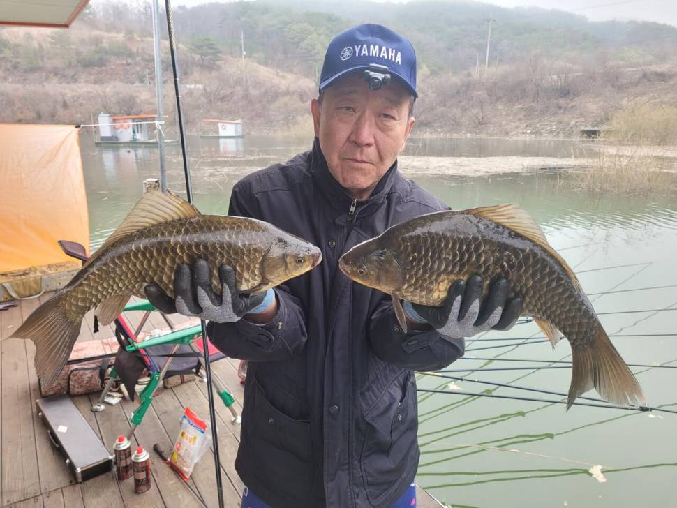 청풍실리곡낚시터 435cm4짜 대물 조황입니다 (조황조행기 - 충주호조황속보)