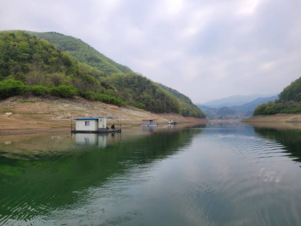 실리곡낚시터 조황입니다 (조황조행기 - 충주호조황속보)