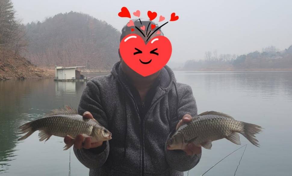 청풍신리낚시터 조황정보입니다 (조황조행기 - 충주호조황속보)