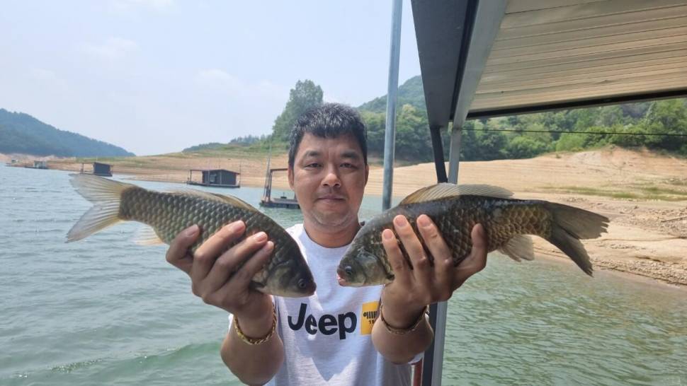 솔낚시터 사짜 조황소식 전합니다 (조황조행기 - 충주호조황속보)