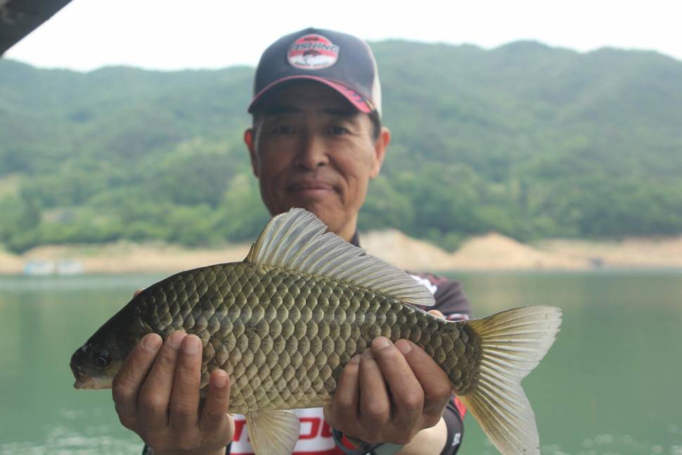 솔낚시터 사짜 조황소식입니다 (조황조행기 - 충주호조황속보)