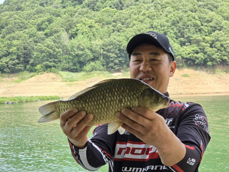 목벌 조황정보 입니다 (조황조행기 - 충주호조황속보)